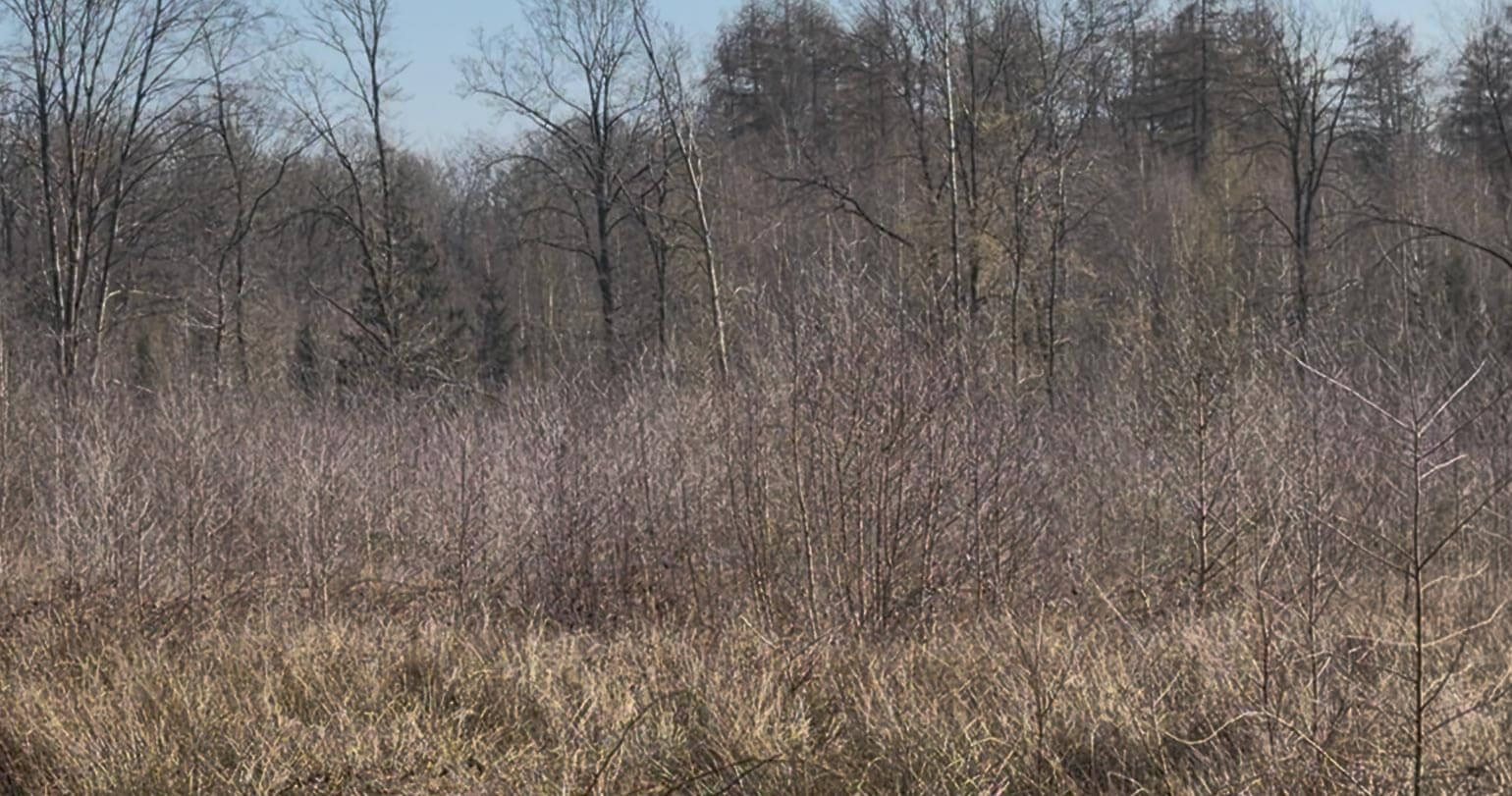 Bepflanzung 2022 und 2023